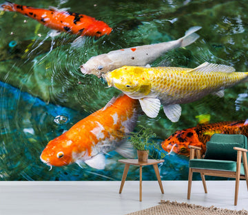 3D Koi Fish 379 Wall Murals Wallpaper AJ Wallpaper 2 