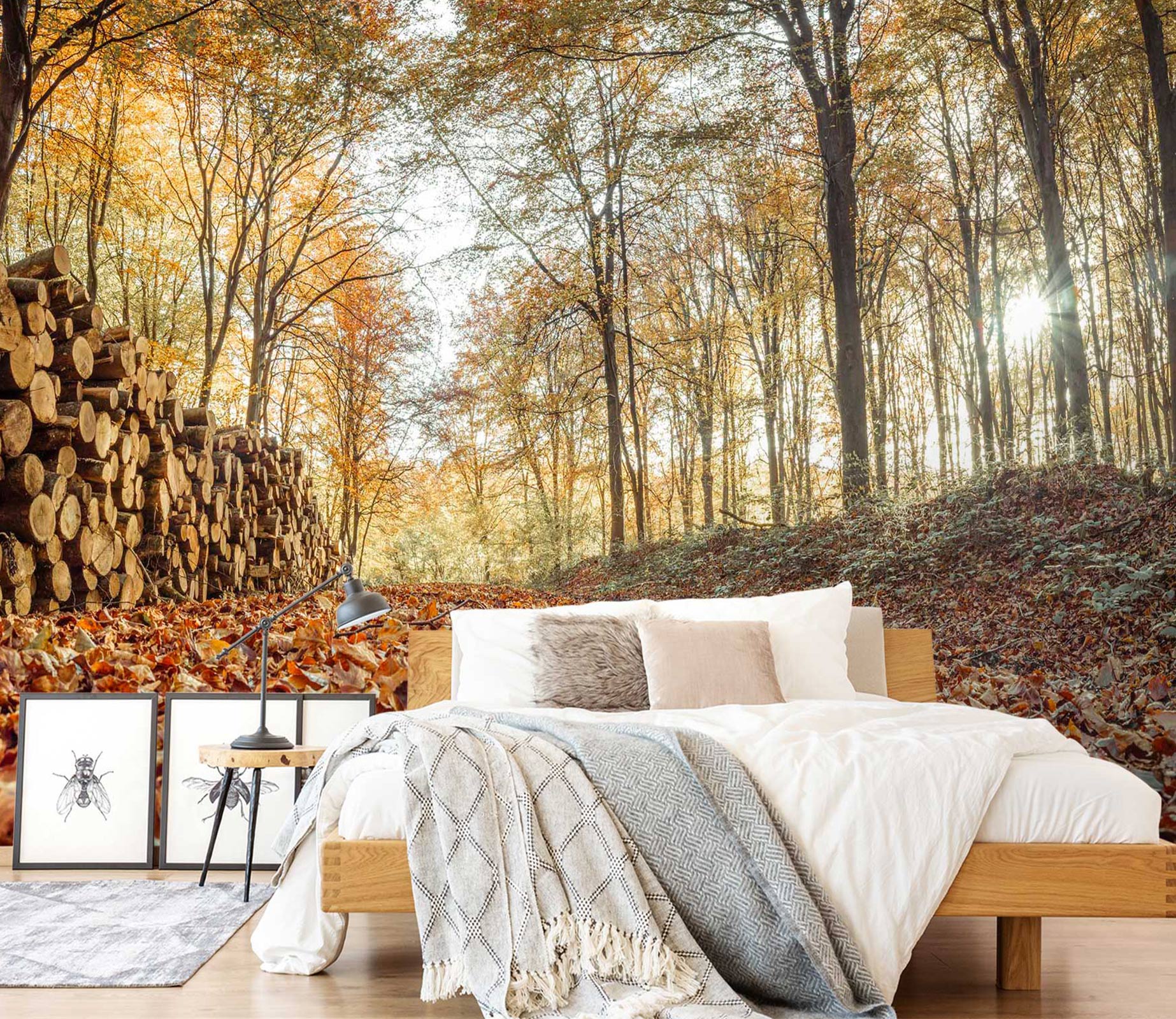 3D Forest Wood 6275 Assaf Frank Wall Mural Wall Murals