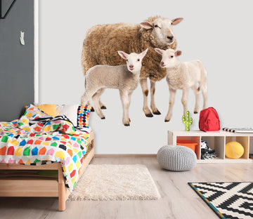 3D Sheep Mother Sheep Child 008 Animals Wall Stickers Wallpaper AJ Wallpaper 
