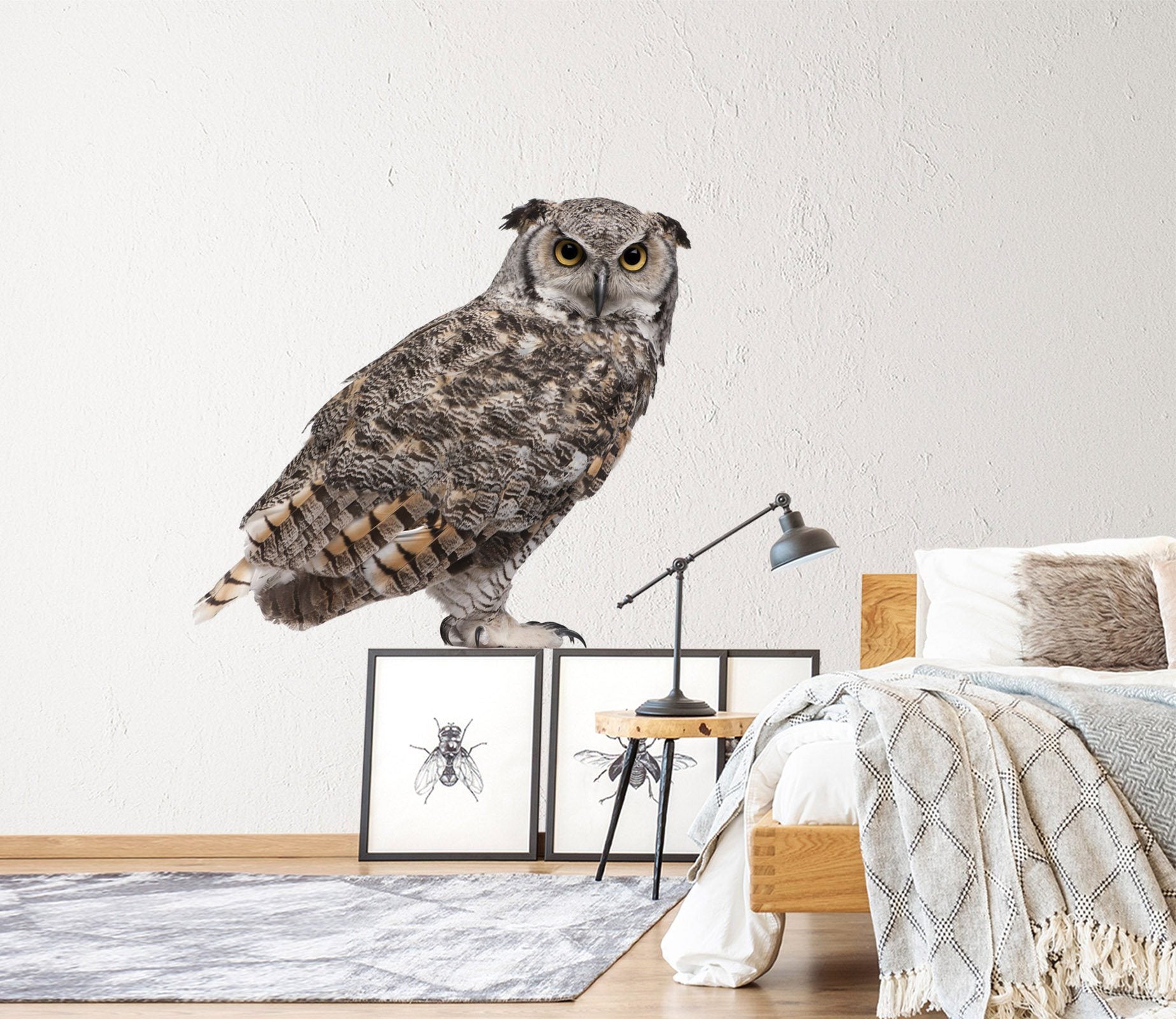 3D Owl 206 Animals Wall Stickers Wallpaper AJ Wallpaper 