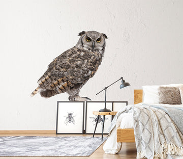 3D Owl 206 Animals Wall Stickers Wallpaper AJ Wallpaper 