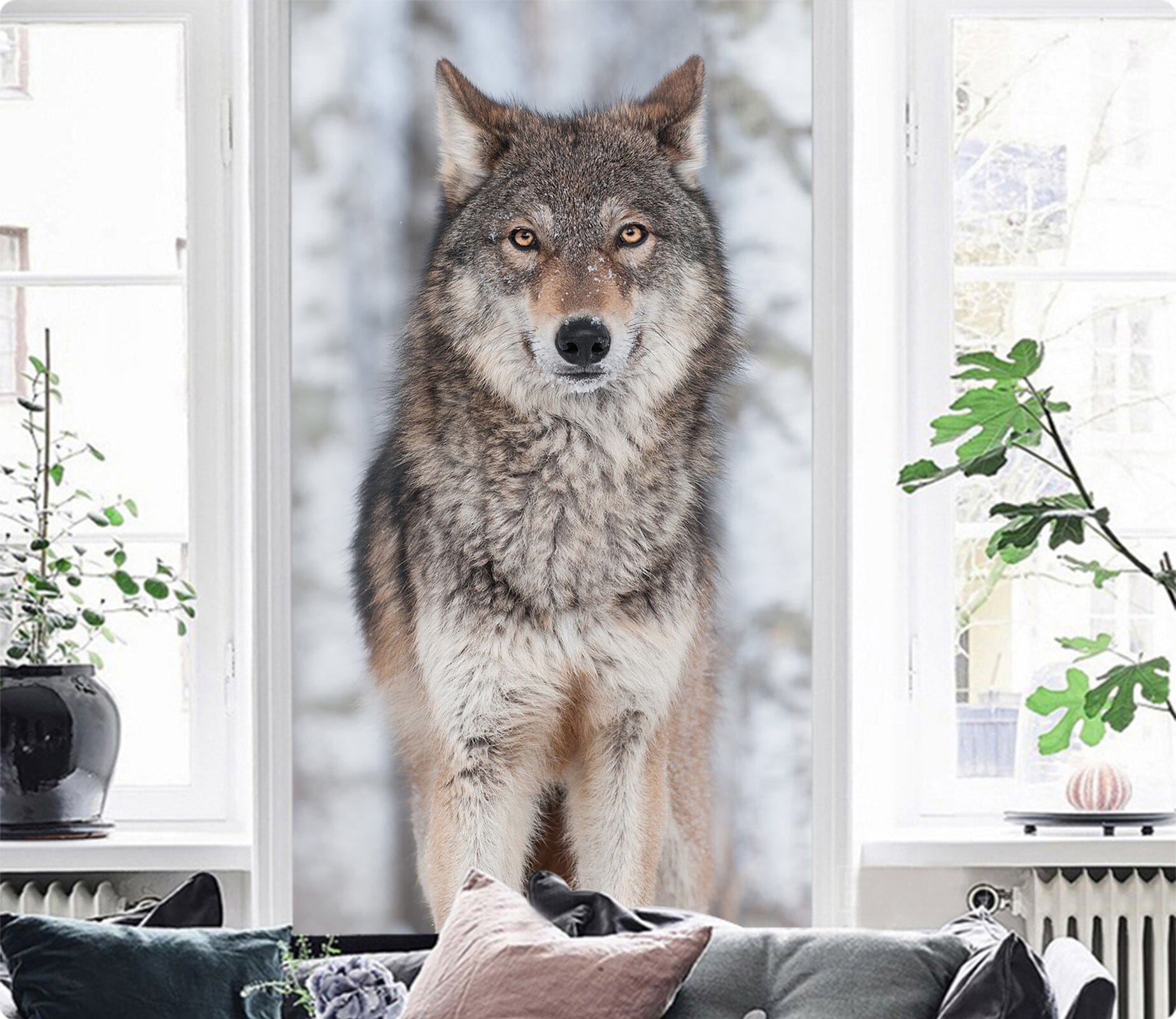 3D Wolf Animal 141 Wall Murals Wallpaper AJ Wallpaper 2 