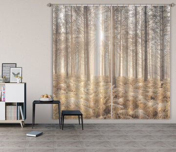 3D Sun Wood 6361 Assaf Frank Curtain Curtains Drapes