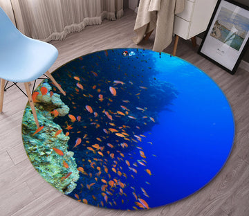 3D Seabed Fish 69147 Round Non Slip Rug Mat