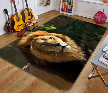3D Lion Head 611 Animal Non Slip Rug Mat Mat AJ Creativity Home 