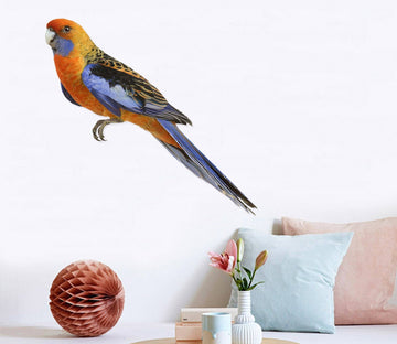 3D Parrot Eye 179 Animals Wall Stickers Wallpaper AJ Wallpaper 
