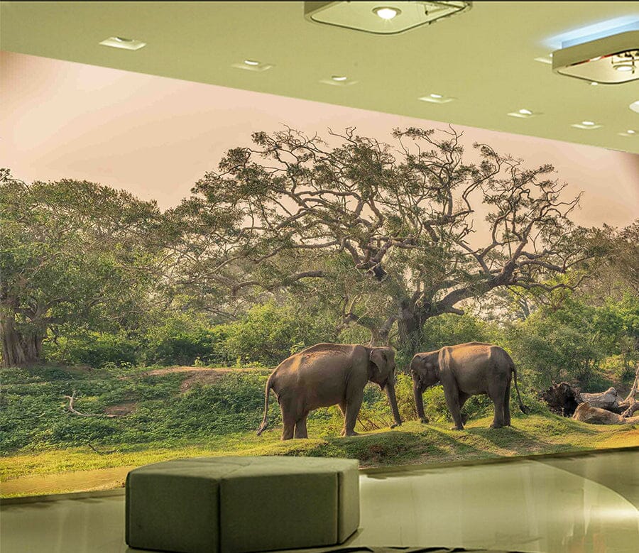 3D Elephant Family 1058 Wall Murals Wallpaper AJ Wallpaper 2 