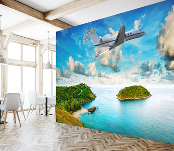3D Island Aircraft 216 Vehicle Wall Murals
