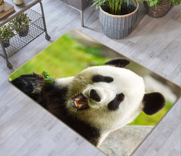 3D Cute Panda 113 Animal Non Slip Rug Mat