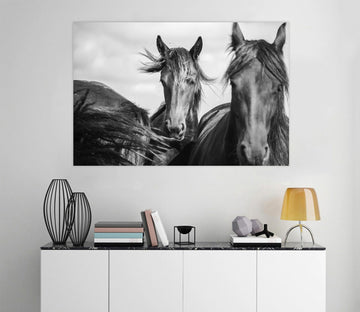 3D Grey Horse 82 Animal Wall Stickers Wallpaper AJ Wallpaper 2 