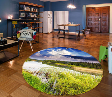 3D Grass 66202 Round Non Slip Rug Mat