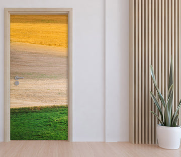 3D Grass Lawn 11603 Marco Carmassi Door Mural