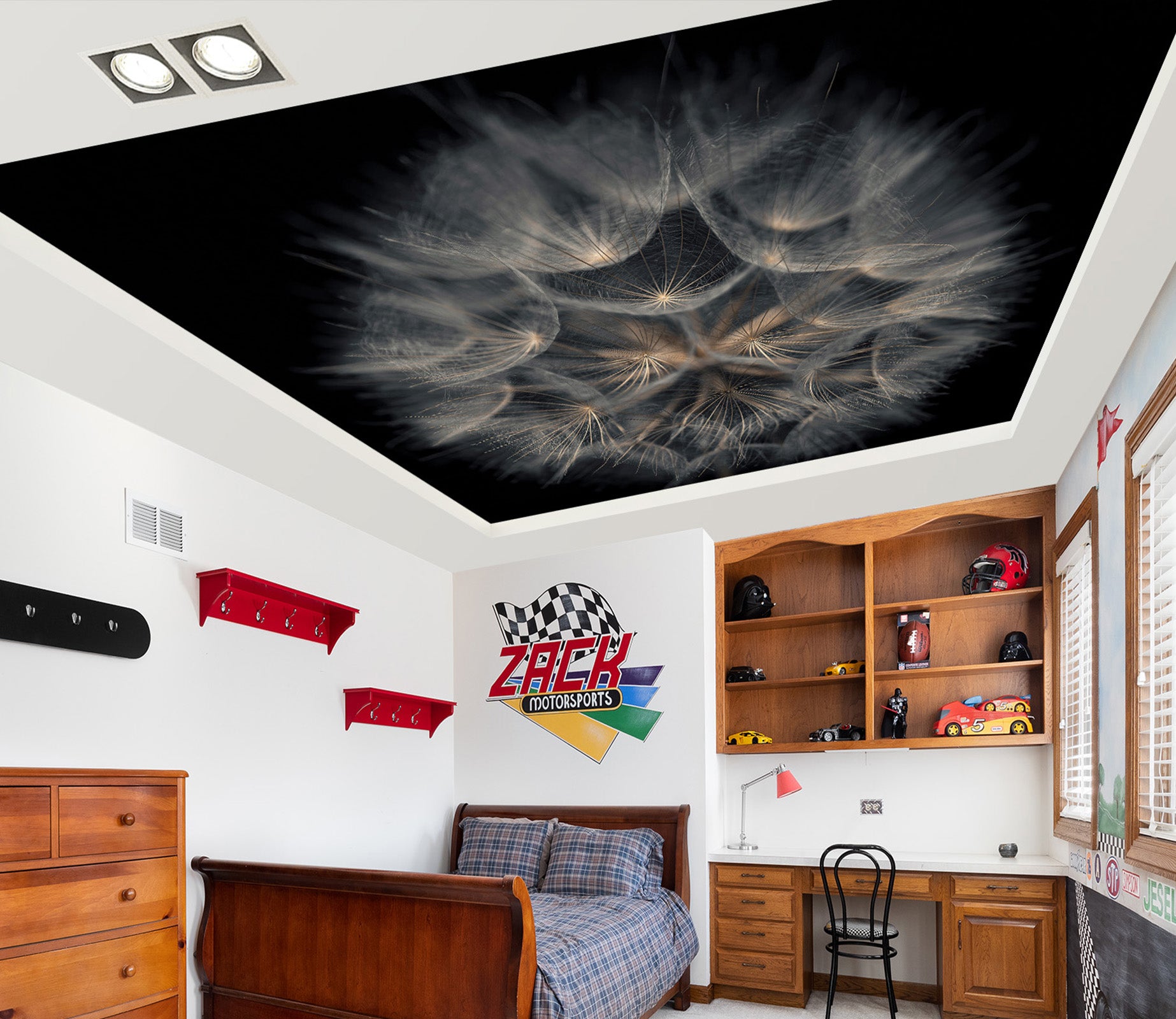 3D Dandelion Feather 2585 Assaf Frank Ceiling Wallpaper Murals