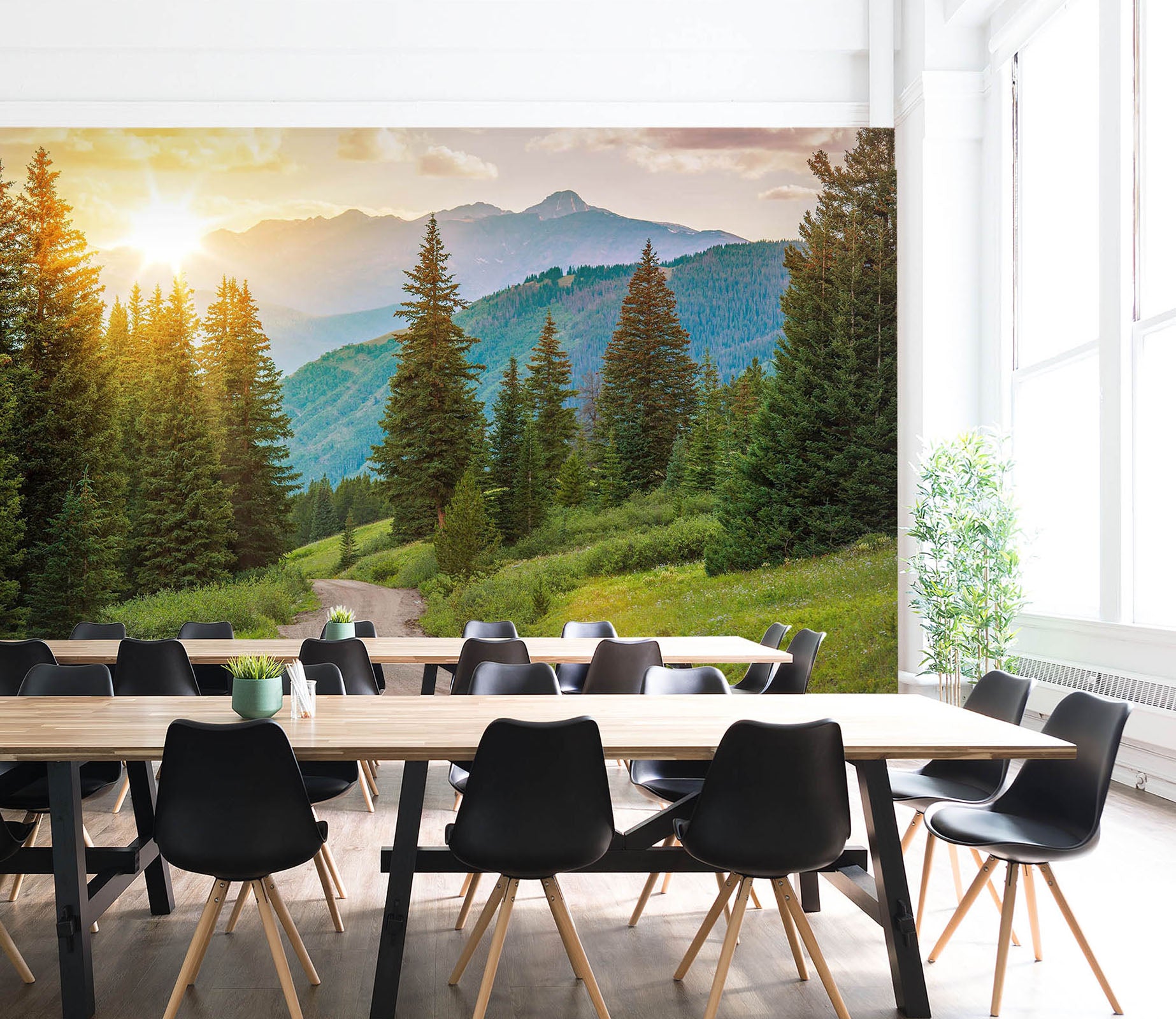 3D Sunny Forest 027 Wall Murals
