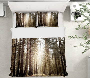 3D Forest 16132 Bed Pillowcases Quilt