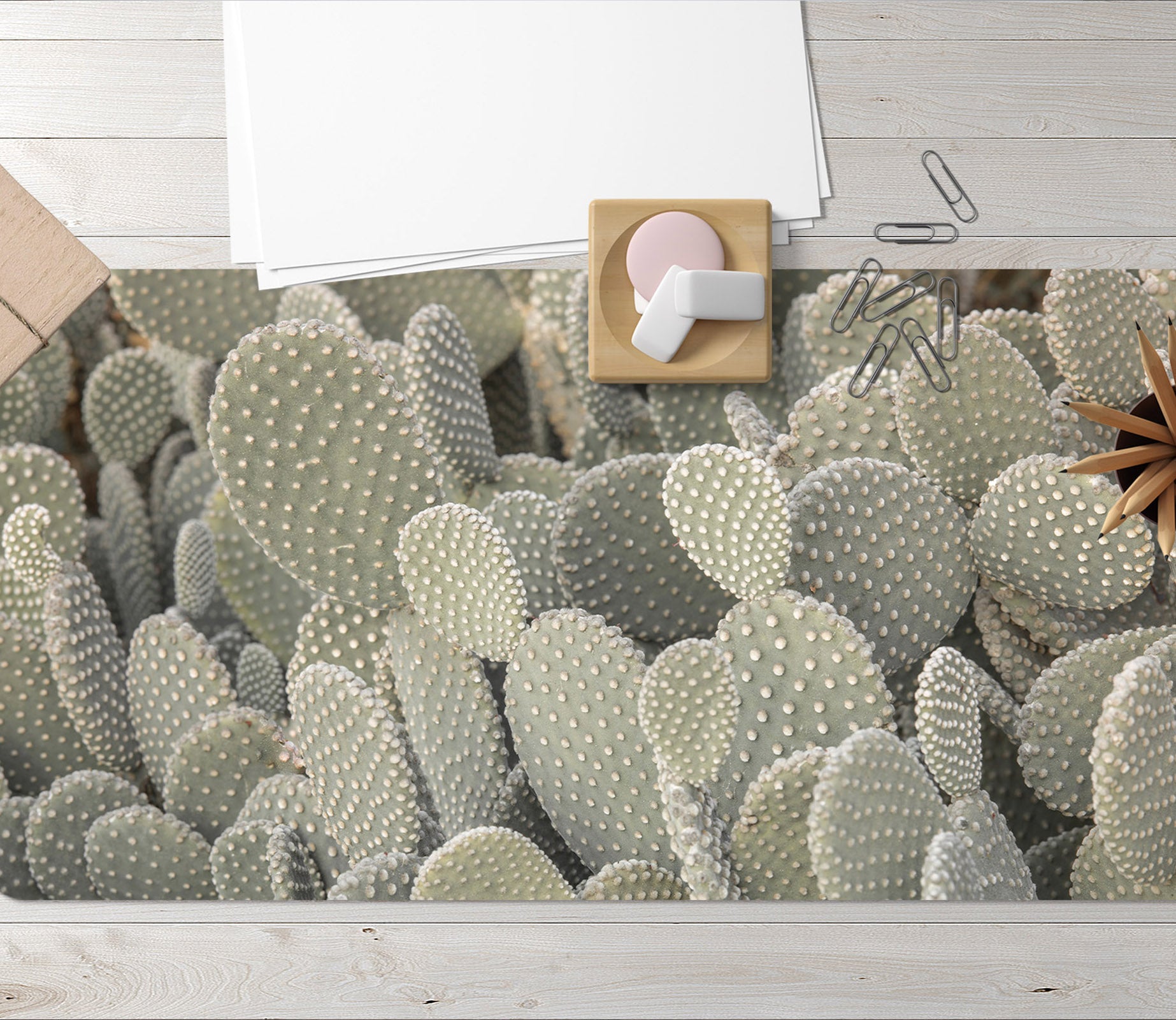 3D Green Cactus 7759 Assaf Frank Desk Mat