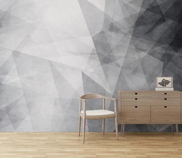 3D Transparent Graphics WC1758 Wall Murals