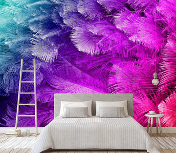 3D Colourful Feather 039 Wall Murals