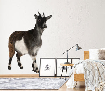 3D Standing Sheep 014 Animals Wall Stickers Wallpaper AJ Wallpaper 