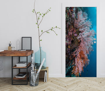 3D Coral 25133 Door Mural