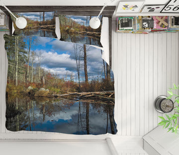 3D Cloud Pond 1005 Jerry LoFaro bedding Bed Pillowcases Quilt