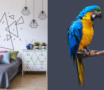 3D Blue Yellow Parrot 166 Animals Wall Stickers Wallpaper AJ Wallpaper 
