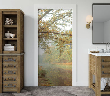 3D Autumn Rivers 5086 Assaf Frank Door Mural