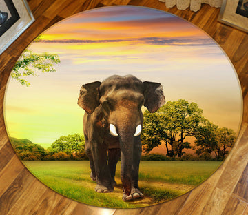 3D Elephant 37230 Animal Round Non Slip Rug Mat