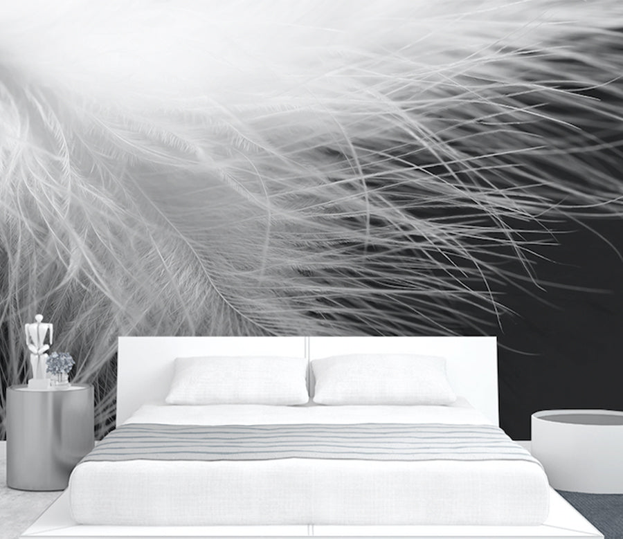 3D White Feather WG291 Wall Murals