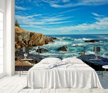 3D Acadia Coastline 61141 Kathy Barefield Wall Mural Wall Murals