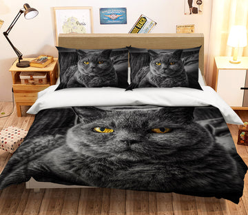 3D Black Kitten 039 Bed Pillowcases Quilt