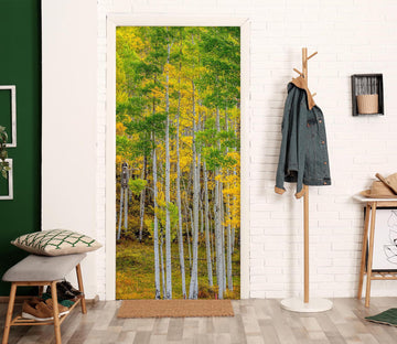 3D Forest 12299 Marco Carmassi Door Mural