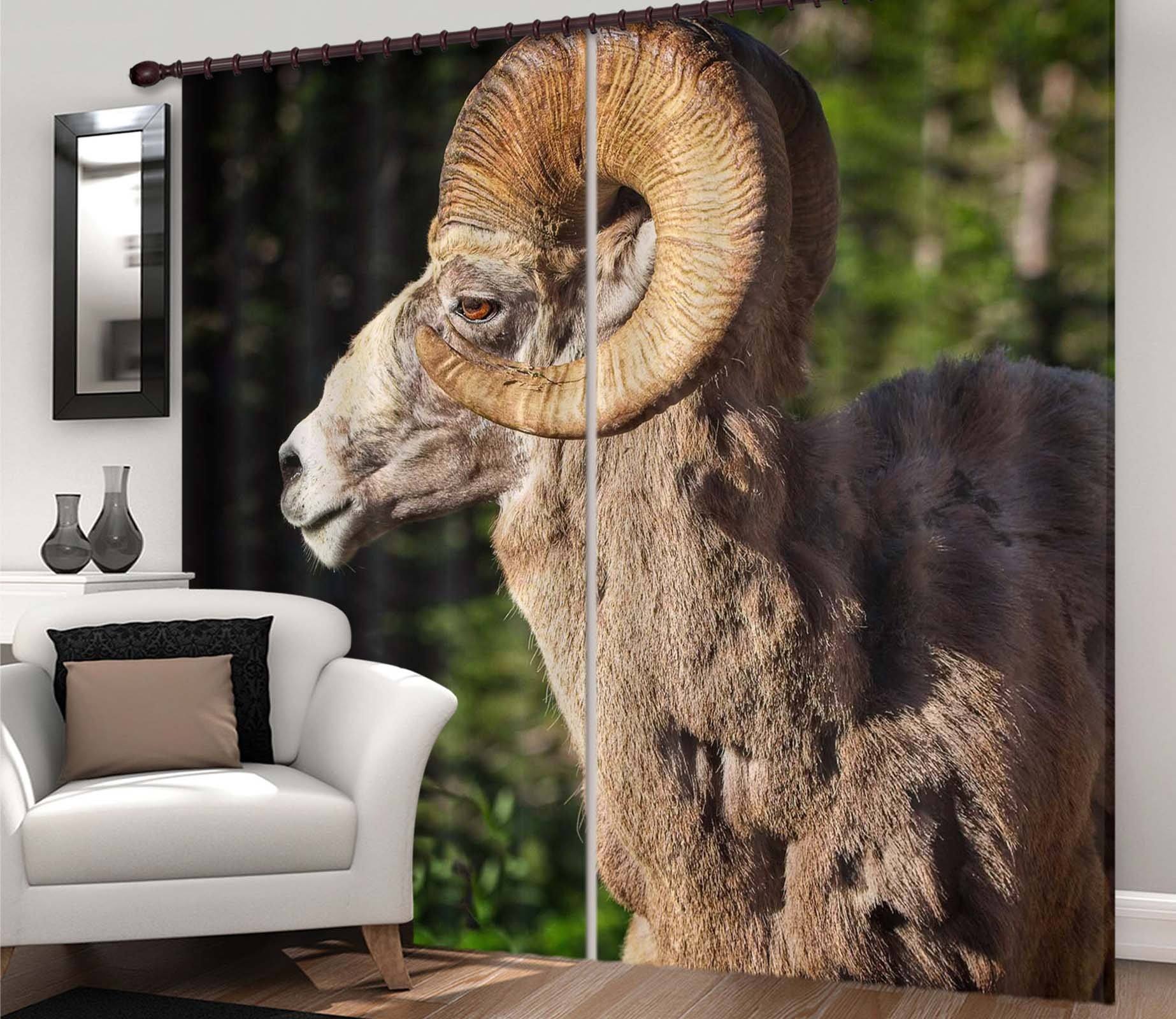 3D Bighorn Ram 045 Kathy Barefield Curtain Curtains Drapes Curtains AJ Creativity Home 