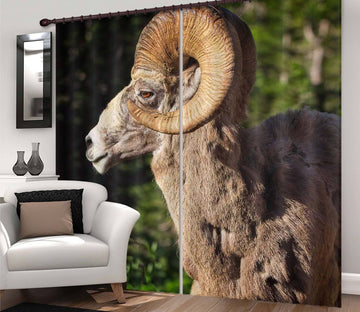 3D Bighorn Ram 045 Kathy Barefield Curtain Curtains Drapes Curtains AJ Creativity Home 