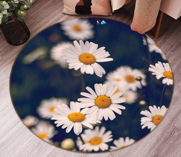 3D Daisy 71168 Round Non Slip Rug Mat