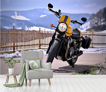 3D Motorcycle Snow 051 Vehicle Wall Murals