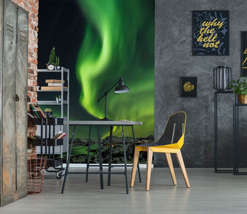 3D Green Smoke 1422 Marco Carmassi Wall Mural Wall Murals Wallpaper AJ Wallpaper 2 