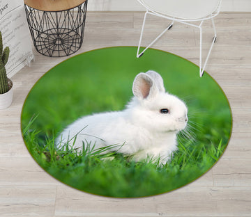 3D Grass Rabbit 71183 Round Non Slip Rug Mat