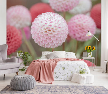 3D Pink Hydrangea 6211 Assaf Frank Wall Mural Wall Murals