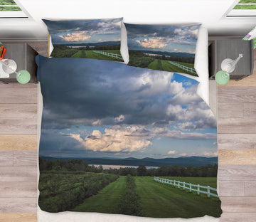 3D Distant Lake 1006 Jerry LoFaro bedding Bed Pillowcases Quilt