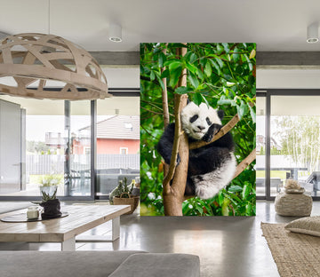 3D Panda Tree 58059 Wall Murals