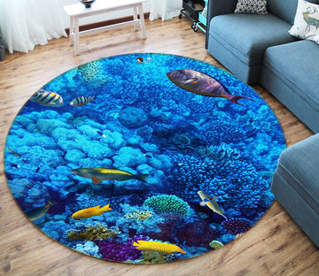 3D Underwater Fish 74029 Round Non Slip Rug Mat