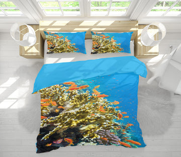 3D Coral Fish 15175 Bed Pillowcases Quilt
