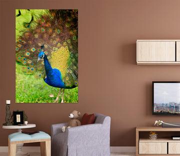 3D Peacock 61206 Kathy Barefield Wall Sticker