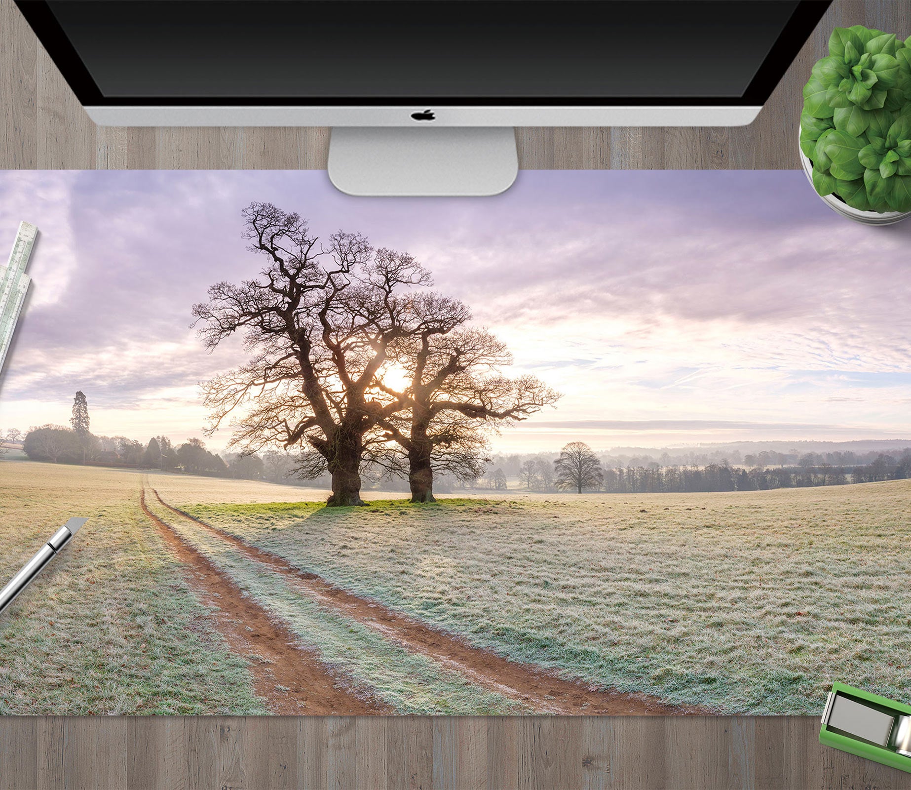 3D Path Lawn Tree 12462 Assaf Frank Desk Mat