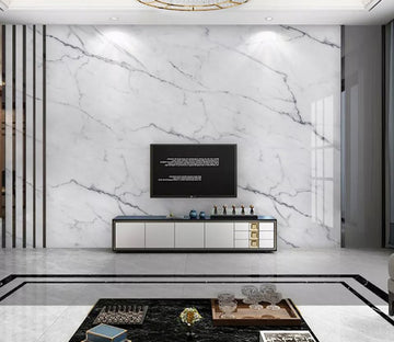 3D Ink Pattern WC2243 Wall Murals