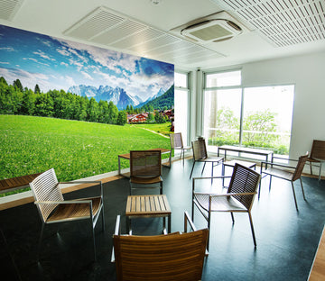 3D Rural Nature 235 Wall Murals