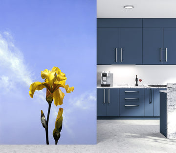 3D Flower 11134 Matthew Holden Bates Wall Mural Wall Murals