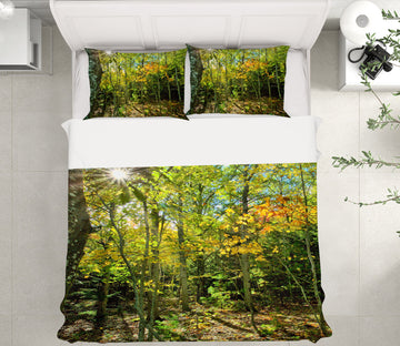 3D Fall In The Forest 62009 Kathy Barefield Bedding Bed Pillowcases Quilt