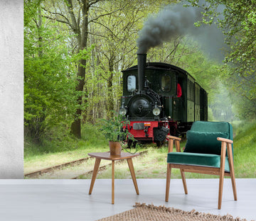 3D Black Train Woods 254 Vehicle Wall Murals